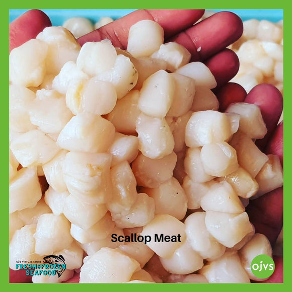 Scallop Meat 500g