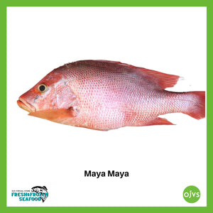 Maya Maya (Red Snapper)